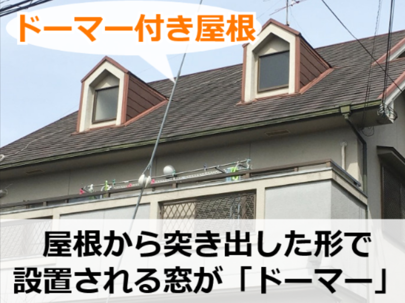 ドーマーとは